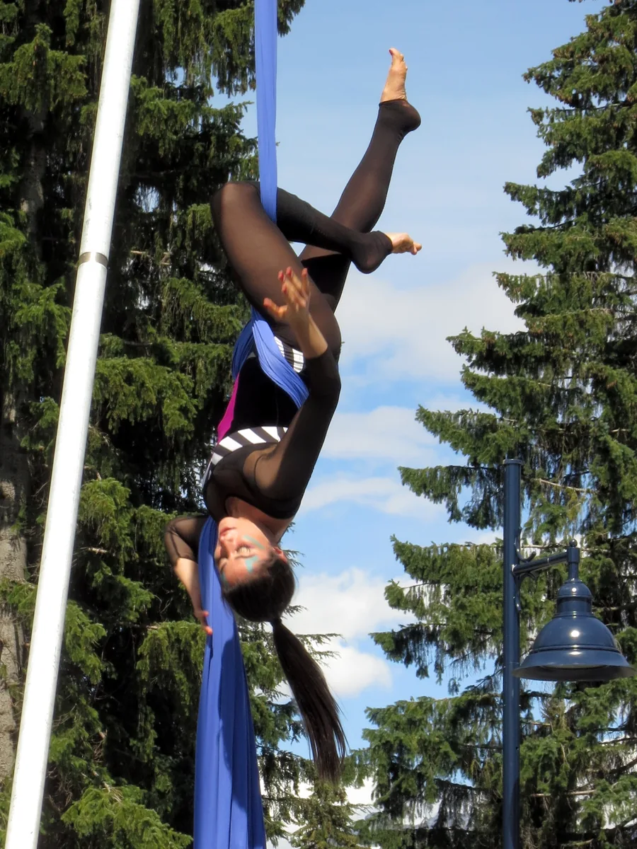 A performer hanging upside down in blue aerial silks, with fir trees behind