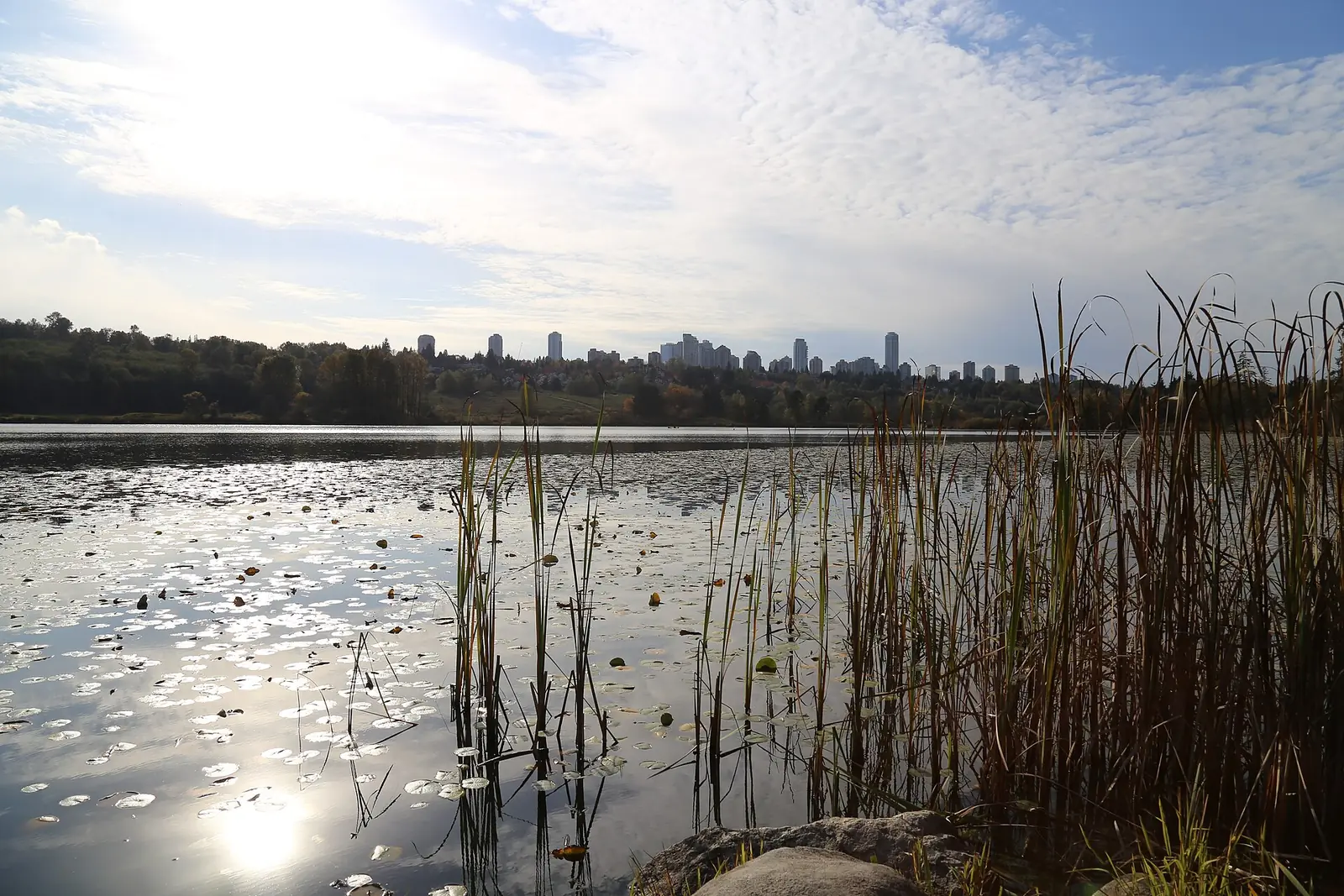 Deer Lake in Burnaby with the Vancouver skyline behind